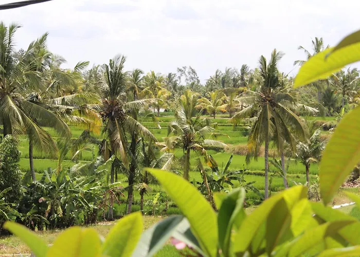 Bungsil Gading Guest house Ubud (Bali)